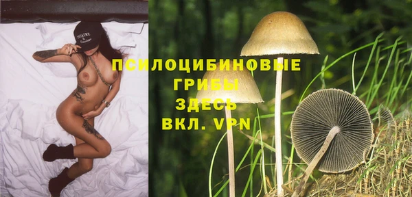 mdpv Алексин