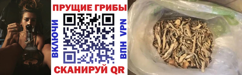 Псилоцибиновые грибы GOLDEN TEACHER  дарнет шоп  Анапа 